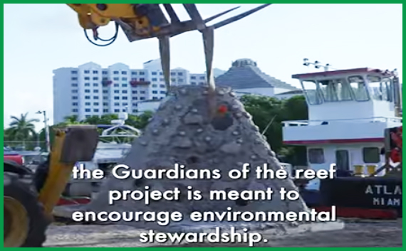Click to WATCH VIDEO New Artificial Reef Hollywood Beach, Florida